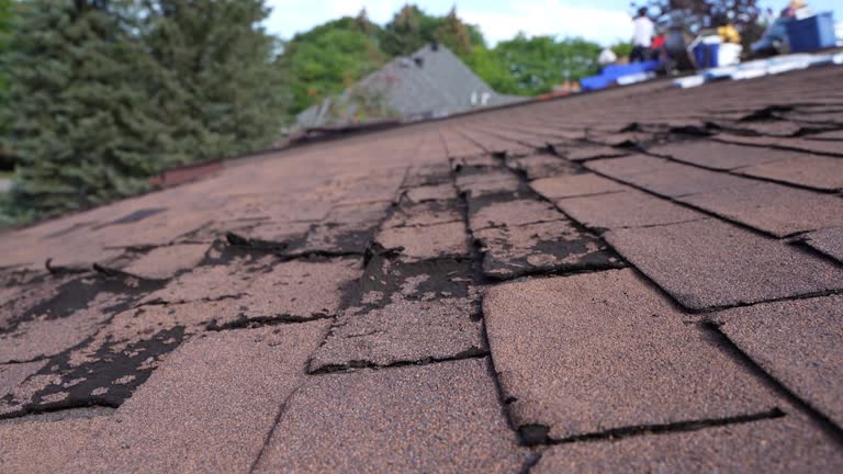 Roof Insulation in Kenosha, WI